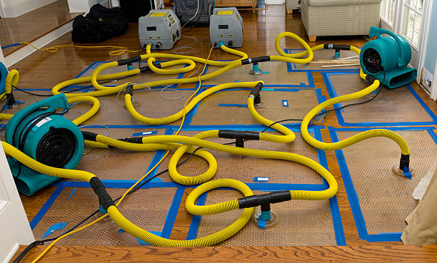 Professional Water Damage Restoration technician working in Colton, WA